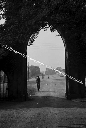 MR SHEEHAN CHEMIST STROKESTOWN